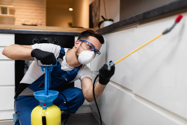 Best Best Pest Control Companies  in Florence, MT