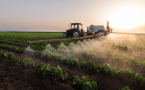 Best Pest Prevention Services  in Florence, MT