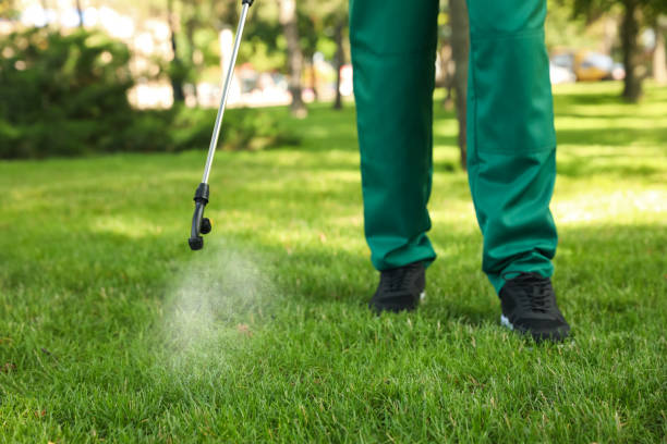 Pest Control for Restaurants in Florence, MT