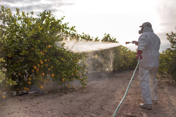 Reliable Florence, MT Pest Control Solutions